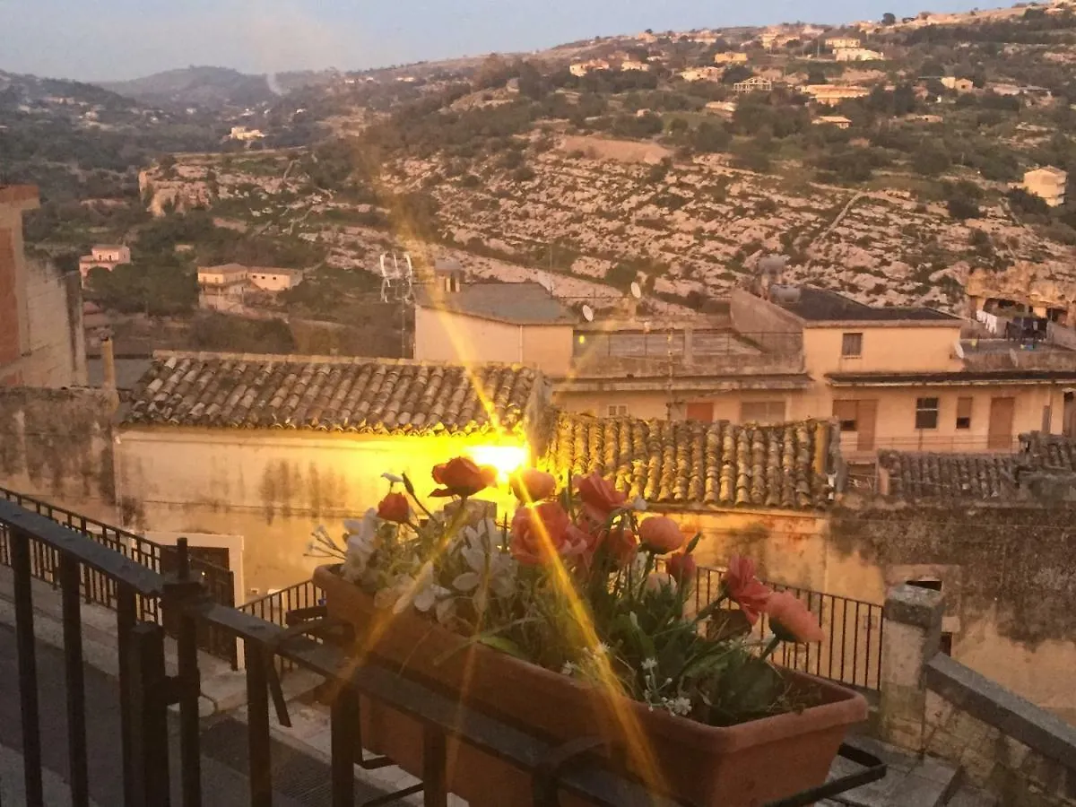 Papavero Μόντικα 0*,